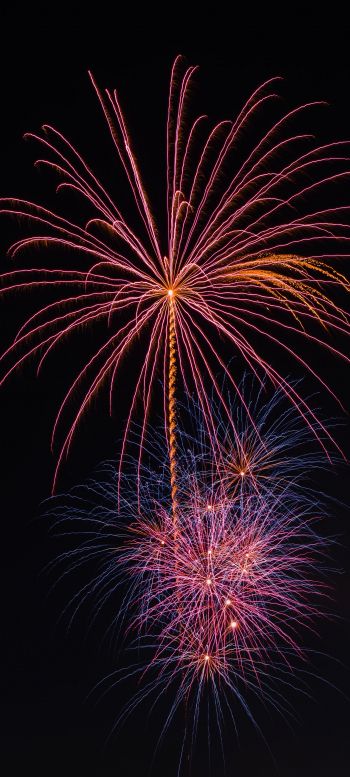 festival, fireworks Wallpaper 720x1600