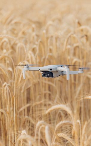 drone flying over the field Wallpaper 1752x2800