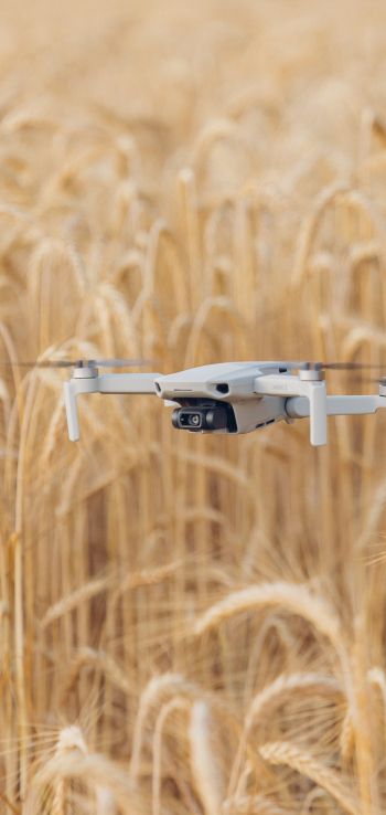 drone flying over the field Wallpaper 1440x3040