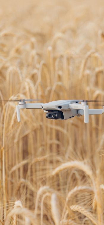 drone flying over the field Wallpaper 828x1792