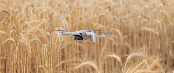 drone flying over the field Wallpaper 2560x1080