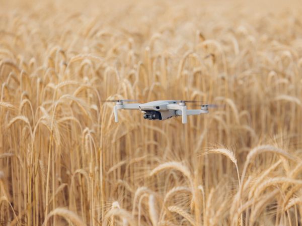 drone flying over the field Wallpaper 1024x768