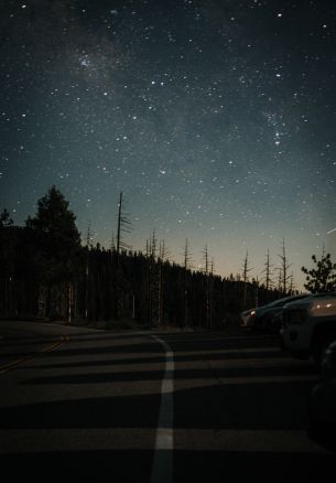 night road Wallpaper 1640x2360