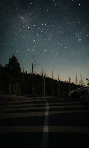 night road Wallpaper 1200x2000