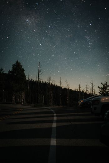 night road Wallpaper 640x960