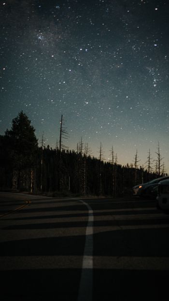 night road Wallpaper 640x1136