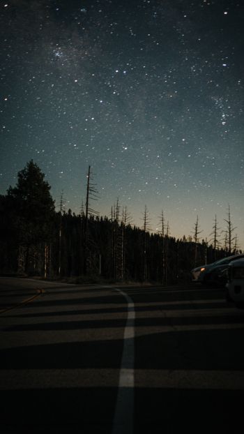 night road Wallpaper 1080x1920