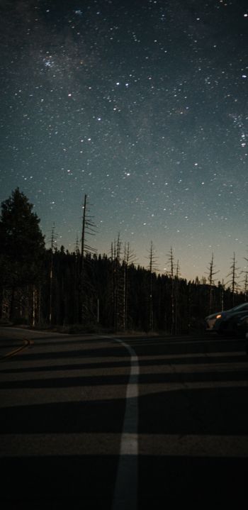 night road Wallpaper 1440x2960