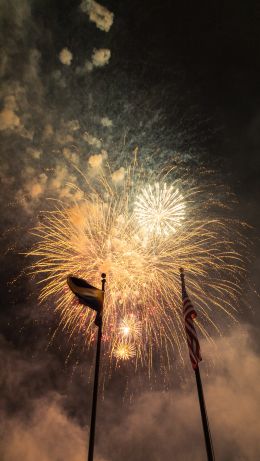 fireworks, fireworks Wallpaper 640x1136