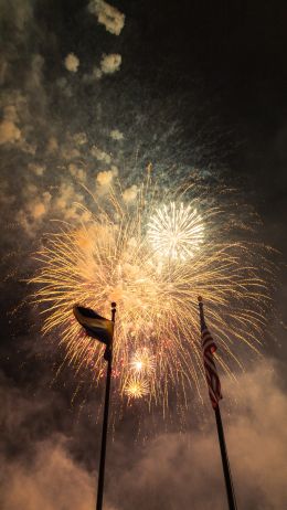 fireworks, fireworks Wallpaper 1080x1920