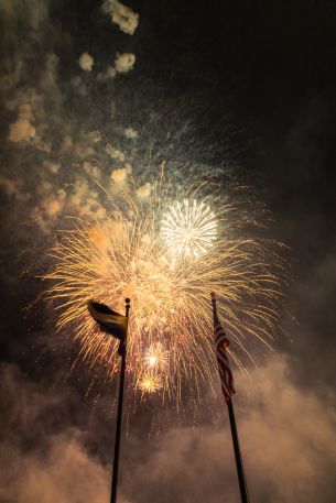 fireworks, fireworks Wallpaper 640x960