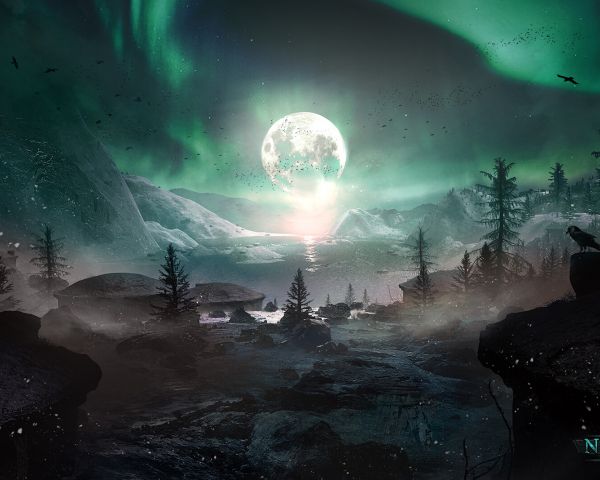 night, northern lights, moon Wallpaper 1280x1024