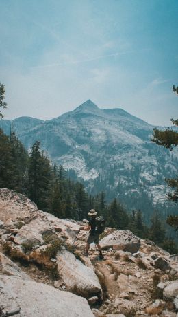 Sequoia National Park, California, USA Wallpaper 640x1136