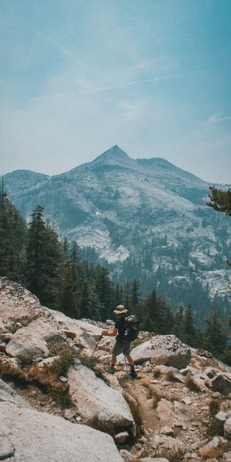 Sequoia National Park, California, USA Wallpaper 720x1440