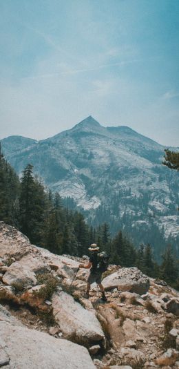 Sequoia National Park, California, USA Wallpaper 1080x2220