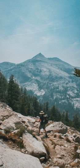 Sequoia National Park, California, USA Wallpaper 1080x2280