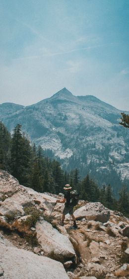 Sequoia National Park, California, USA Wallpaper 1170x2532