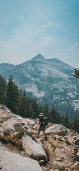 Sequoia National Park, California, USA Wallpaper 1080x2340