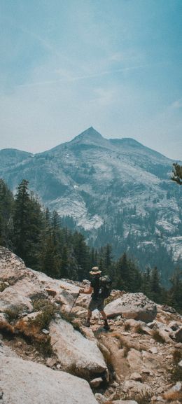 Sequoia National Park, California, USA Wallpaper 720x1600