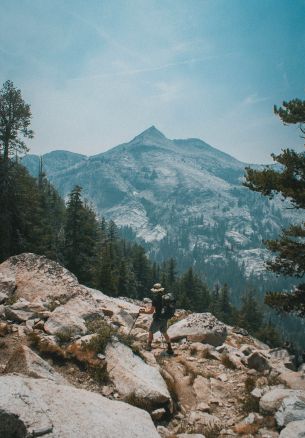 Sequoia National Park, California, USA Wallpaper 1640x2360