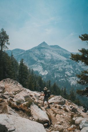 Sequoia National Park, California, USA Wallpaper 2592x3872