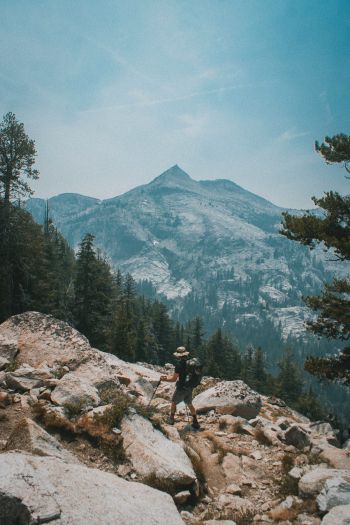 Sequoia National Park, California, USA Wallpaper 640x960
