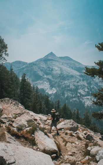 Sequoia National Park, California, USA Wallpaper 800x1280