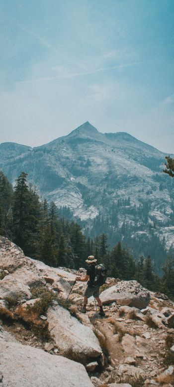 Sequoia National Park, California, USA Wallpaper 1080x2400