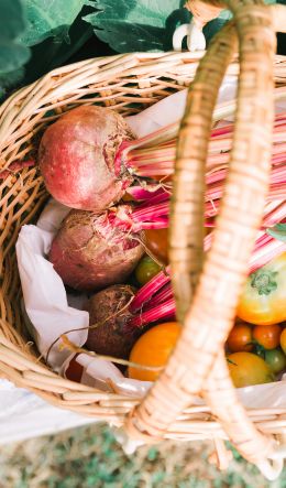 vegetables from the garden Wallpaper 600x1024