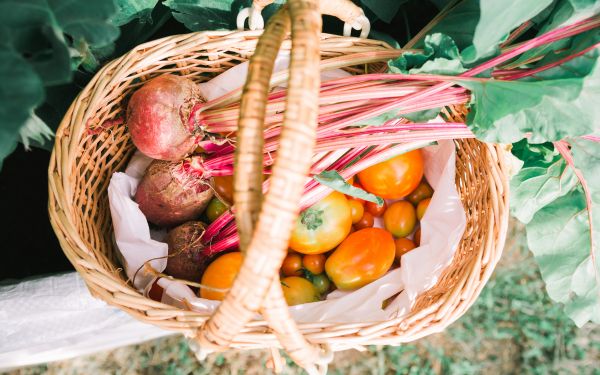 vegetables from the garden Wallpaper 2560x1600