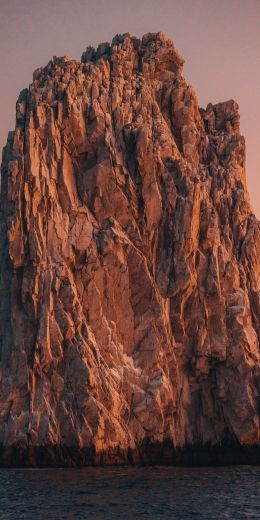 Ark, Cabo San Lucas, BCS, mexico Wallpaper 720x1440