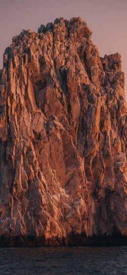 Ark, Cabo San Lucas, BCS, mexico Wallpaper 1080x2340