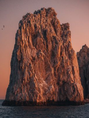 Ark, Cabo San Lucas, BCS, mexico Wallpaper 1620x2160