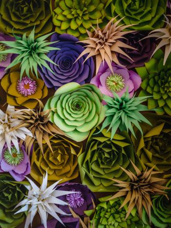 flower design, flowers Wallpaper 1620x2160