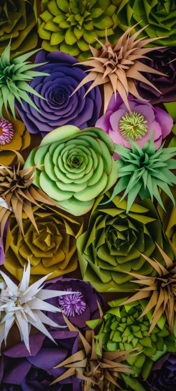 flower design, flowers Wallpaper 720x1600