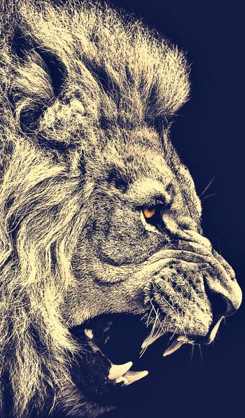 lion, predator, grin Wallpaper 600x1024