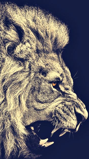 lion, predator, grin Wallpaper 1080x1920