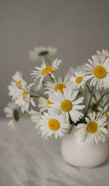 bouquet of daisies Wallpaper 600x1024