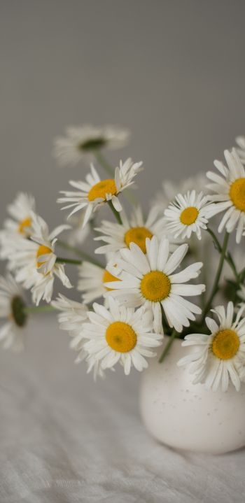 bouquet of daisies Wallpaper 1080x2220
