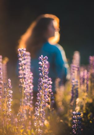 purple flowers Wallpaper 1668x2388