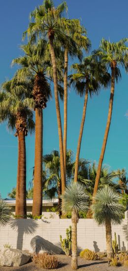 palm springs, California, USA Wallpaper 1080x2280