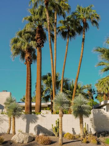 palm springs, California, USA Wallpaper 2048x2732