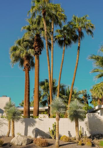 palm springs, California, USA Wallpaper 1668x2388