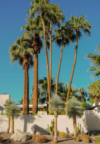 palm springs, California, USA Wallpaper 1640x2360