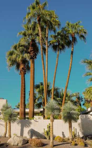 palm springs, California, USA Wallpaper 1200x1920