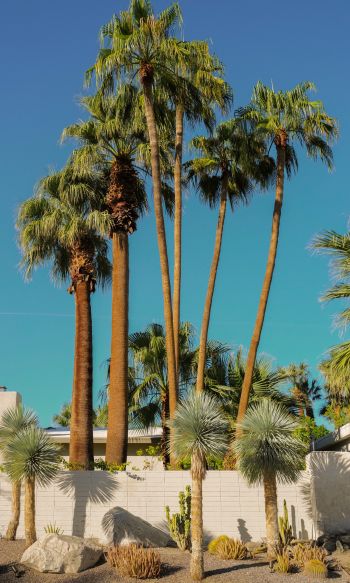 palm springs, California, USA Wallpaper 1200x2000