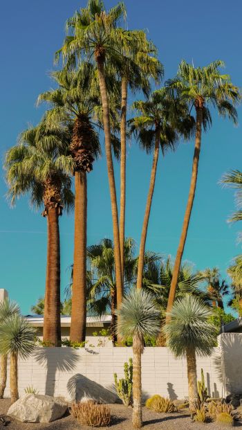 palm springs, California, USA Wallpaper 640x1136