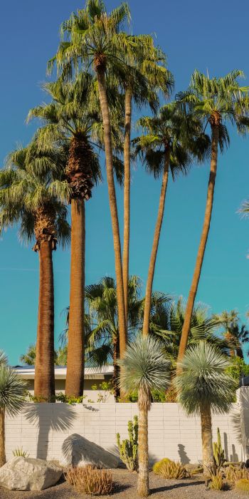 palm springs, California, USA Wallpaper 720x1440