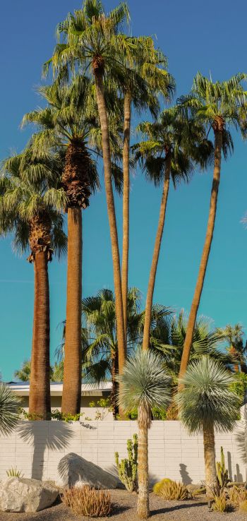 palm springs, California, USA Wallpaper 1080x2280