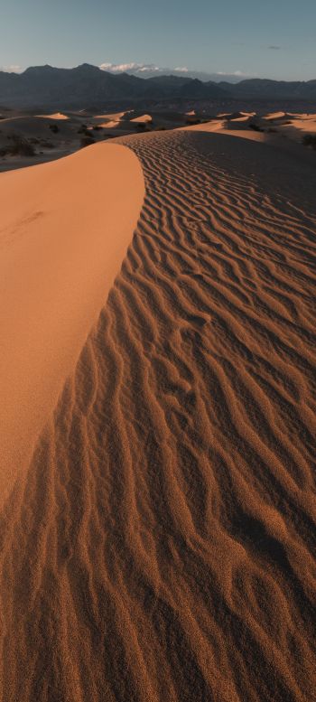 Death Valley, California, USA Wallpaper 1440x3200